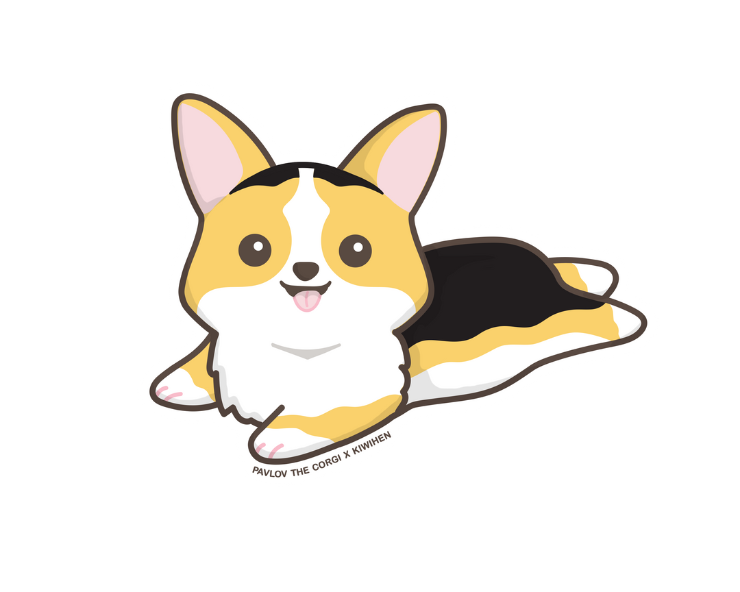 About Pavlov! – Pavlov The Corgi